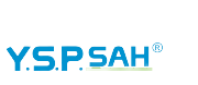 YSP SOUTHEAST ASIA HOLDING